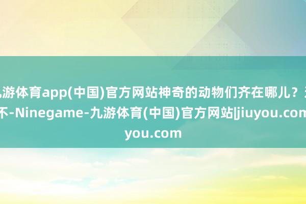 九游体育app(中国)官方网站神奇的动物们齐在哪儿？这不-Ninegame-九游体育(中国)官方网站|jiuyou.com