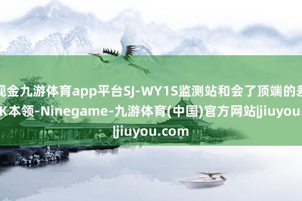现金九游体育app平台SJ-WY1S监测站和会了顶端的差分RTK本领-Ninegame-九游体育(中国)官方网站|jiuyou.com