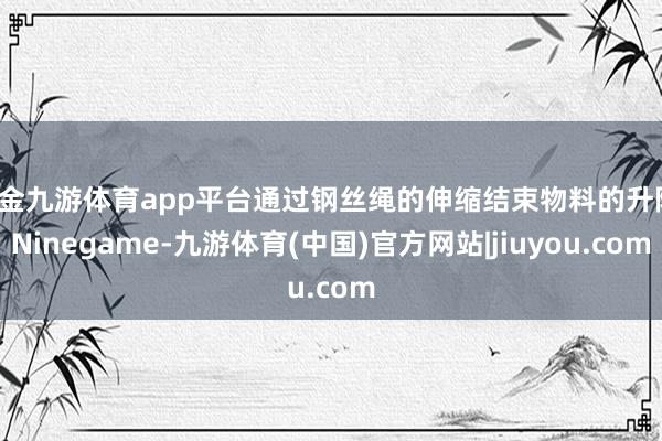 现金九游体育app平台通过钢丝绳的伸缩结束物料的升降-Ninegame-九游体育(中国)官方网站|jiuyou.com